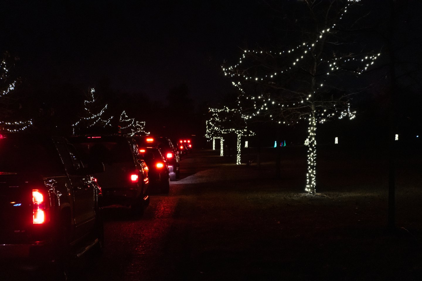 Holiday Lights at Lost Creek Reserve